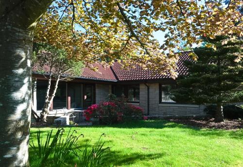 a house with a green yard with a tree at Greenwood - Stunning Scandinavian Style Home in the heart of Ballater Royal Deeside in Ballater