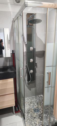 une douche avec une porte vitrée dans une salle de bain dans l'établissement NÎMES Studio meublé 27 m², à Nîmes