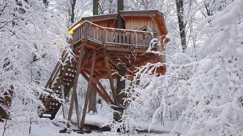 a tree house in the woods in the snow at Baumhaushotel Solling in Uslar