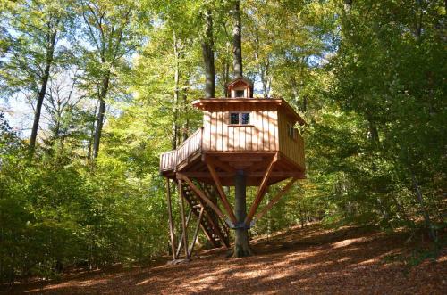 a tree house in the middle of a forest at Baumhaushotel Solling in Uslar