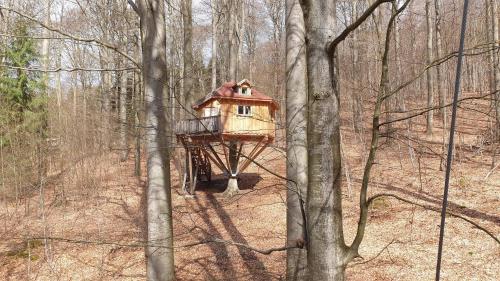 a tree house in the middle of the woods at Baumhaushotel Solling in Uslar