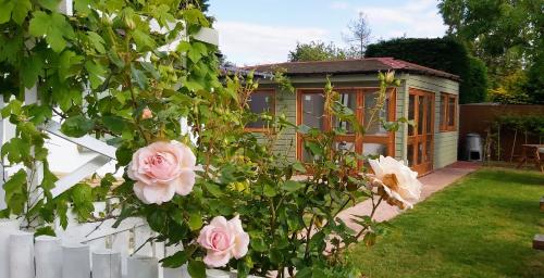 a house with a white fence and pink roses at Oxford Guest House in Oxford