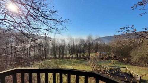 a view of a park with a wooden bench at Baumhaushotel Solling in Uslar