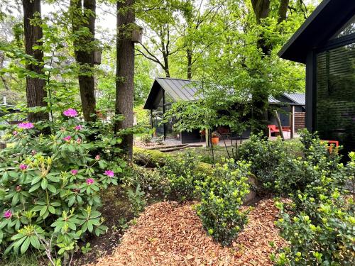 Zahrada ubytování Tiny Lodges for2 - Kempenbos