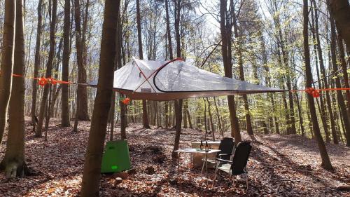 a tent in the middle of the woods at Baumhaushotel Solling in Uslar