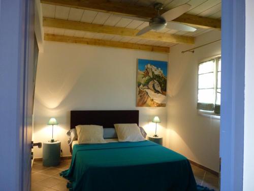 een slaapkamer met een groen bed met 2 lampen bij Promesse de vacances réussies in Calcatoggio