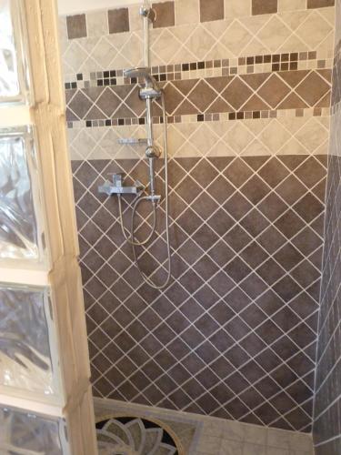 une douche avec un tuyau dans une salle de bain dans l'établissement Promesse de vacances réussies, à Calcatoggio