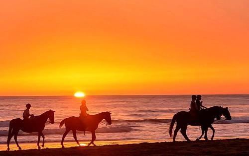 um grupo de pessoas andando a cavalo na praia ao pôr do sol em Zahora Beach Room em Zahora