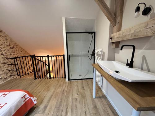 a bathroom with a sink and a shower at Gîte de L'Oliviade - Campagne & Confort in Billancelles