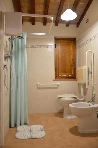 a bathroom with a toilet and a shower and a sink at Podere La Damesca - Agriturismo "La Fraschetta" in Bolsena