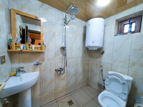 een badkamer met een douche, een toilet en een wastafel bij Eldeniz Nuxa House in Sheki