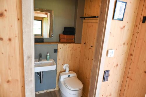 La salle de bains est pourvue de toilettes et d'un lavabo. dans l'établissement Tiny House Nature 5 Innenlage - Green Tiny Village Harlesiel, à Carolinensiel