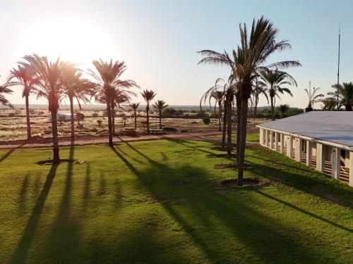 a house with palm trees in front of a building at Flying Ostrich Guesthouse & Self-catering Accommodation in Mariental
