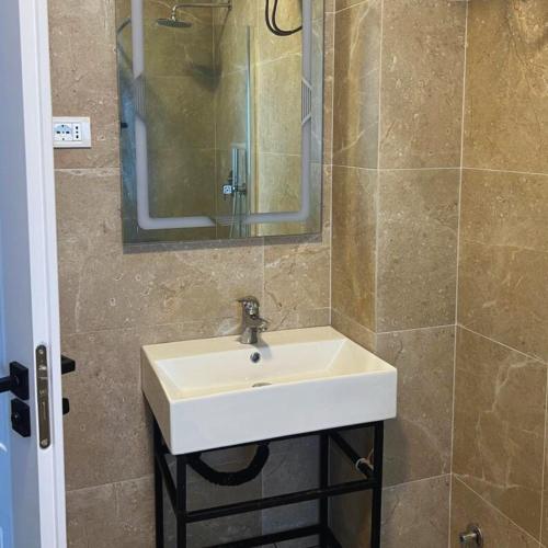 a bathroom with a white sink and a mirror at Rana Hedhun Apartment in Margjonaj