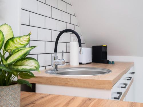 バラトンマーリアフュルドゥーにあるÍrisz Apartmanの台所用カウンター(シンク付)