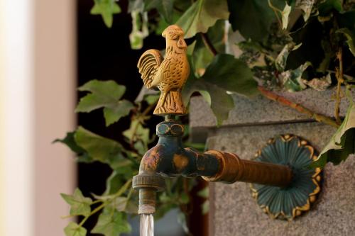 a faucet with a statue of a bird on it at Ladestatthof in Neustift im Stubaital