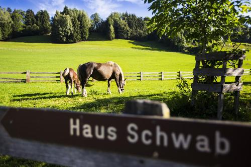 two horses grazing in a field with a fence at Oberhub am Kleinsonnberg in Taxenbach
