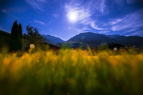 a field of grass with mountains in the background at Oberhub am Kleinsonnberg in Taxenbach