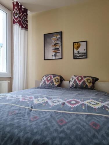1 dormitorio con 1 cama azul y 2 almohadas en Bel appartement spacieux en centre-ville, en Foix
