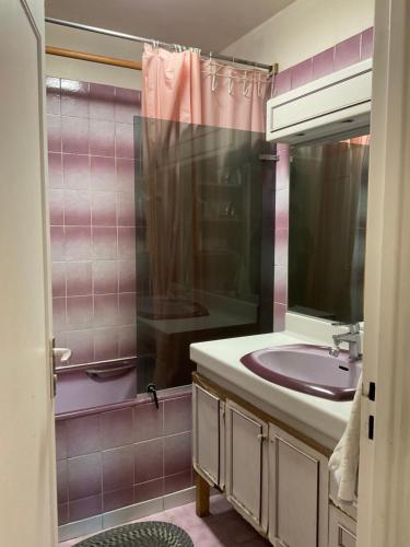 uma casa de banho com um lavatório e um espelho em Female-Dortoir Femme -Dorm Shared Room Paris em Bobigny