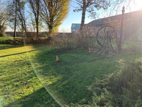 two chickens sitting in the grass in a field at Gîte de L'Oliviade - Campagne & Confort in Billancelles