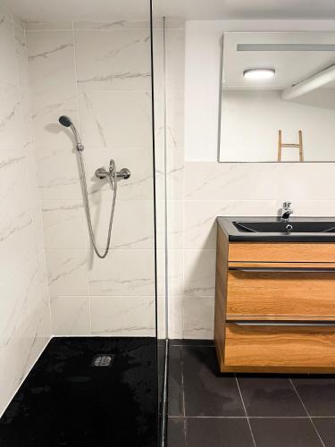 W łazience znajduje się prysznic i umywalka. w obiekcie Berchem - Guest House w mieście Bonnevoie
