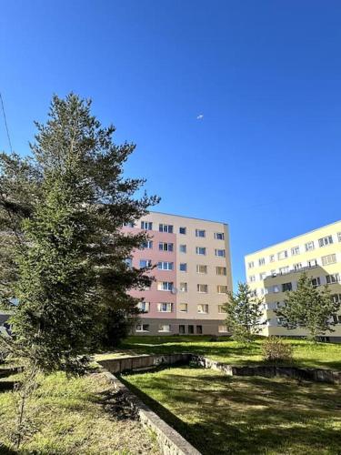 a tree in a park in front of a building at Однокомнатная квартира с новым ремонтом in Ahtme