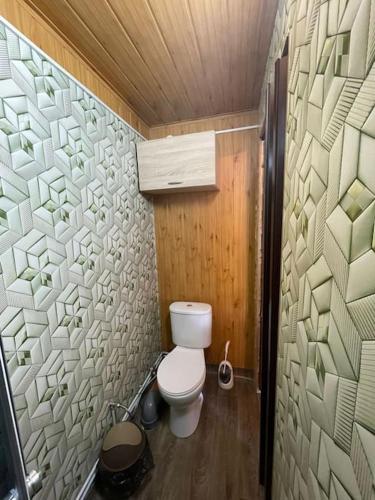 a small bathroom with a toilet in a room at Ligzdas in Valgalciems