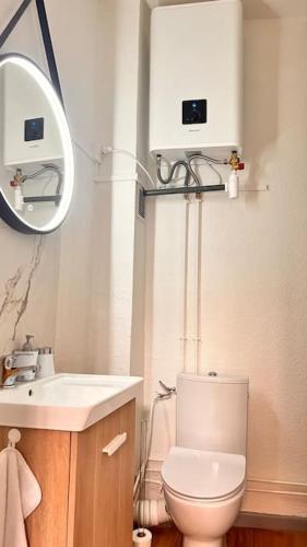 une salle de bain avec toilettes, lavabo et miroir dans l'établissement Le Cocon, à Montauban