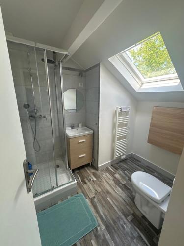 a bathroom with a toilet and a shower with a skylight at Appartement Tremblay en France in Tremblay En France