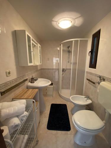 a bathroom with a sink and a toilet and a shower at Apartments Portun in Vrsar