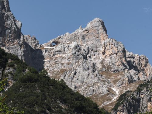 a rocky mountain with trees in front of it at Apartment Carli by Interhome in Campo Lomaso
