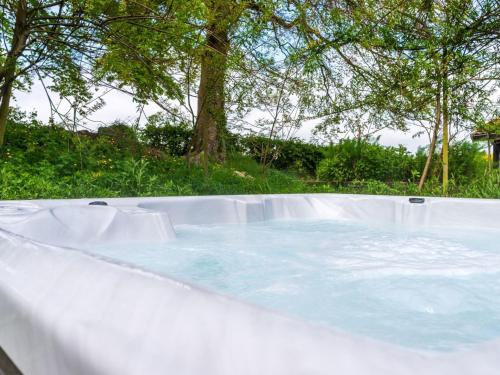 Bazén v ubytování Chalet Bramley Hot Tub Lodge by Interhome nebo v jeho okolí