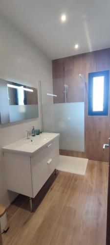 une salle de bain avec un lavabo blanc et une douche dans l'établissement CASAPIETRA, à Brando