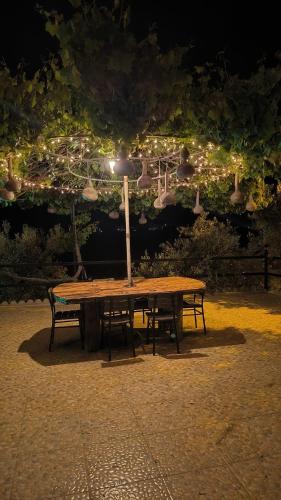 Φωτογραφία από το άλμπουμ του Karameşe Taş Ev - Karameşe Stone House στο Σελτσούκ
