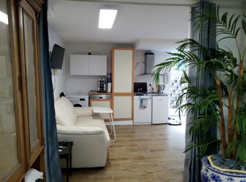 ein Wohnzimmer mit einem Sofa und einer Küche in der Unterkunft FeApp Parken & Pennen in Mondsee