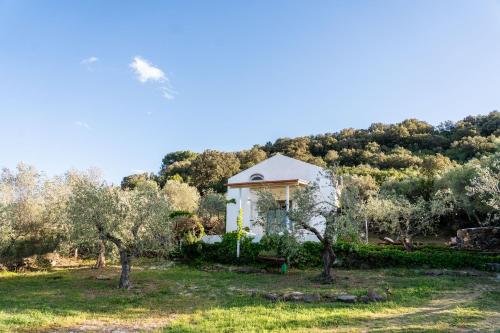 a small white house in a field with trees at CASA MANORGAI DUE in Orosei