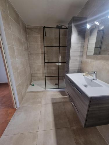 une salle de bain avec un lavabo et une douche dans l'établissement T2 en rez de villa, à Sanary-sur-Mer
