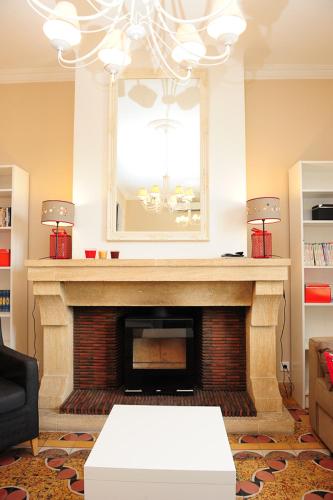 a living room with a fireplace and a chandelier at Appartement Les Hortensias in Avignon