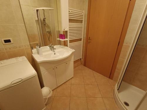 een badkamer met een wastafel, een toilet en een douche bij Villa Irma in Levico Terme