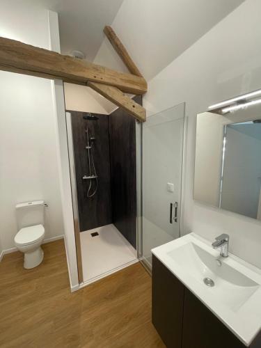 een badkamer met een douche, een wastafel en een toilet bij La Marchanderie in Spay