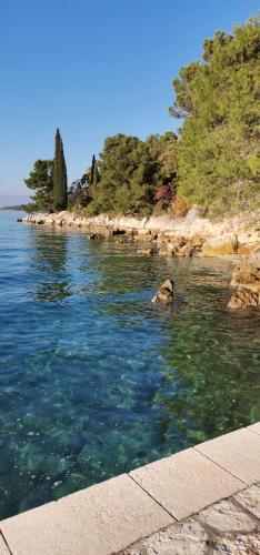Φωτογραφία από το άλμπουμ του Rooms & Apartment Mama Mia σε Malinska