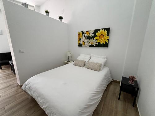 Apartamentos cruz roja B