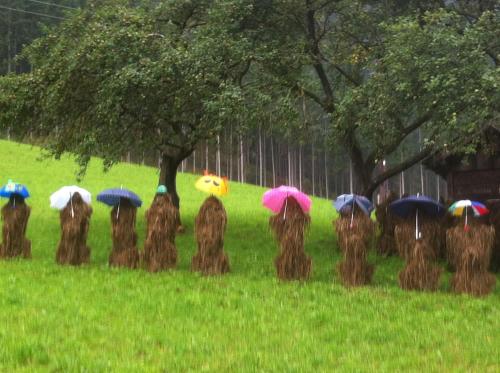 a group of people with umbrellas in the rain at Alpenapart Walch in Jerzens