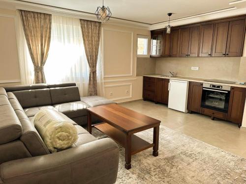 毛茛的住宿－Villa Zabljak，客厅配有沙发和桌子