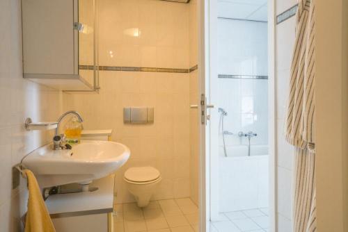 een badkamer met een wastafel, een toilet en een douche bij de Skilbank in Makkum
