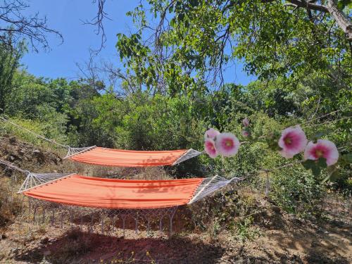 an orange hammock tied to a tree with pink flowers at Cabaña Jacuzzi Exterior Privado in San José de Maipo