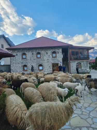 Φωτογραφία από το άλμπουμ του Ethno Katun ROSI Agrotourism σε Gusinje