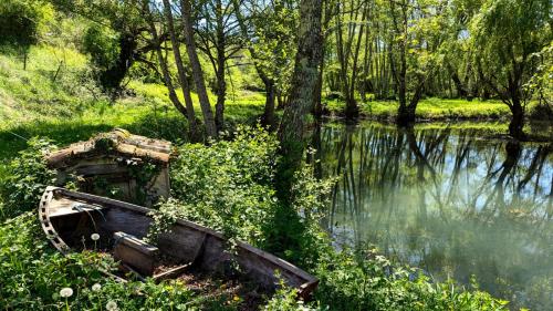 an old boat sitting in the grass next to a river at Bonfarto Locations in Urval