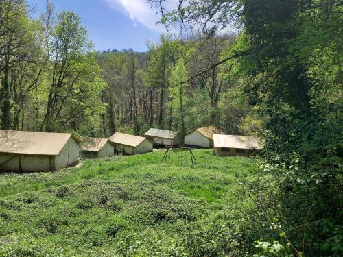 eine Gruppe von Zelten auf einem Feld im Wald in der Unterkunft Camping Terre Rouge in Villecomtal